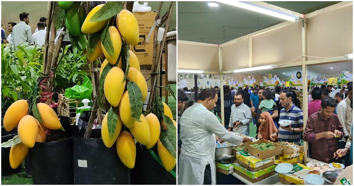 কাতারের দোহায় বাংলাদেশি আম উৎসবে প্রদর্শিত ফল ও স্টল। ছবি: টিবিএন
